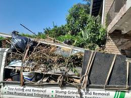 Best Moving and Downsizing Cleanouts  in Hutchins, TX